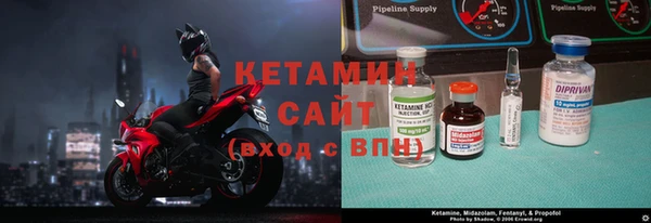прущие грибы Володарск