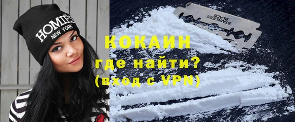 прущие грибы Володарск