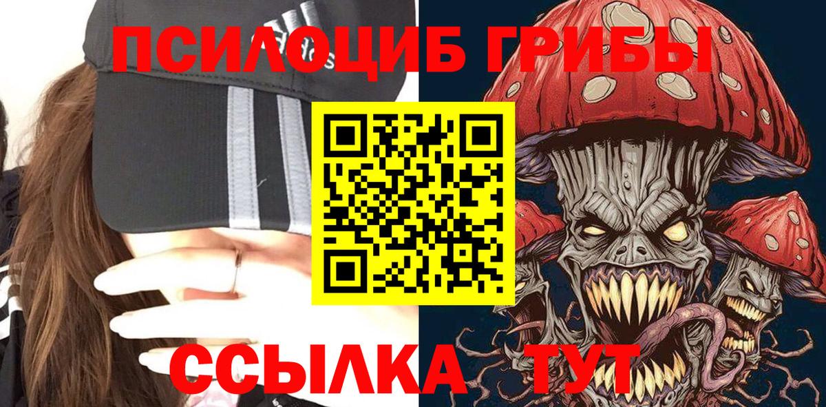 Псилоцибиновые грибы Psilocybe Коломна