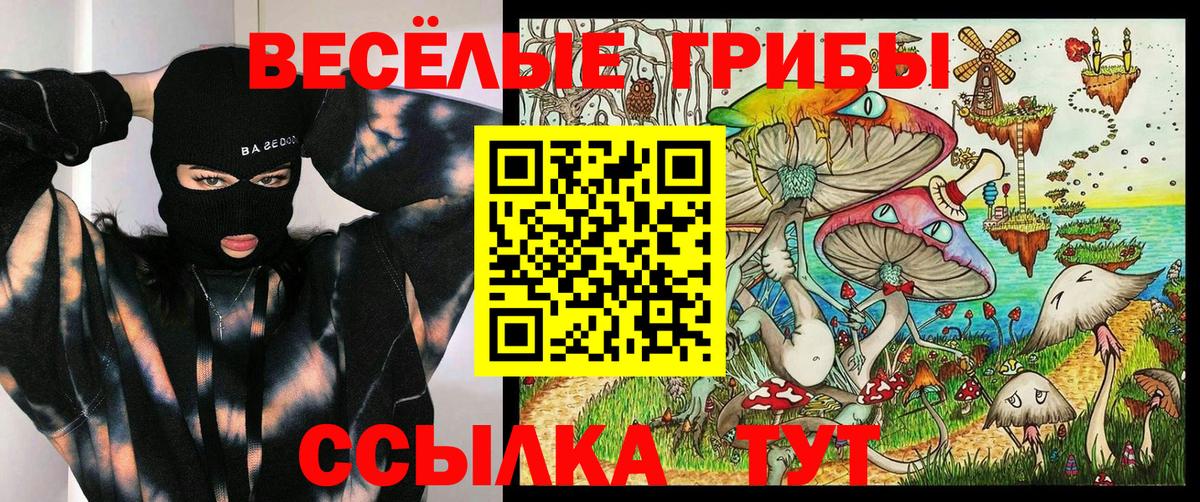 Коломна  Псилоцибиновые грибы ЛСД  Вход с VPN 